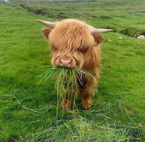 Meet your Posher, Karissa